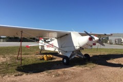 Lady Bush Pilot - African Tour - Flap 4