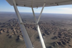 Lady Bush Pilot - African Tour - Flap 4