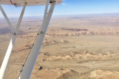 Lady Bush Pilot - African Tour - Flap 4