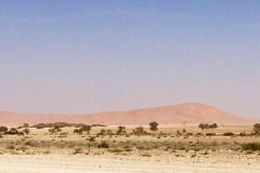 Lady Bush Pilot - African Tour - Flap 4