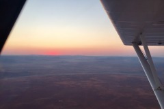 Lady Bush Pilot - African Tour - Flap 4