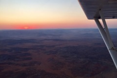Lady Bush Pilot - African Tour - Flap 4