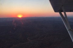 Lady Bush Pilot - African Tour - Flap 4