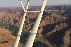 Lady Bush Pilot - African Tour - Flap 4