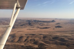 Lady Bush Pilot - African Tour - Flap 4