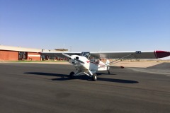 Lady Bush Pilot - African Tour - Flap 4