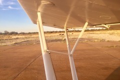 Lady Bush Pilot - African Tour - Flap 4