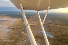 Lady Bush Pilot - African Tour - Flap 4
