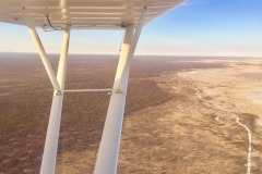 Lady Bush Pilot - African Tour - Flap 4