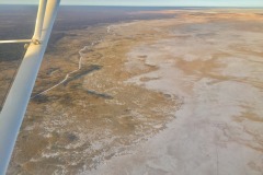 Lady Bush Pilot - African Tour - Flap 4