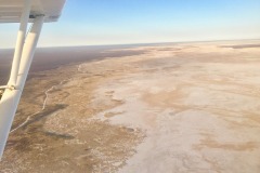 Lady Bush Pilot - African Tour - Flap 4