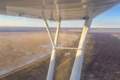 Lady Bush Pilot - African Tour - Flap 4