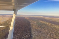 Lady Bush Pilot - African Tour - Flap 4