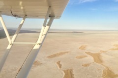 Lady Bush Pilot - African Tour - Flap 4