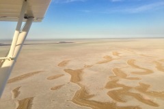 Lady Bush Pilot - African Tour - Flap 4