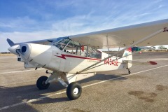Lady Bush Pilot - African Tour - Flap 4