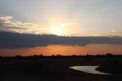 Lady Bush Pilot - African Tour - Flap 4