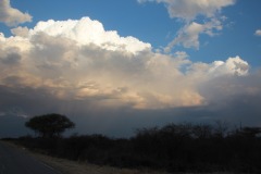 Lady Bush Pilot - African Tour - Flap 4