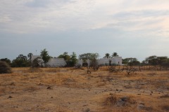 Lady Bush Pilot - African Tour - Flap 4
