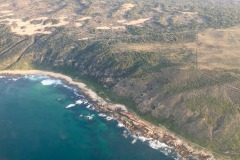 Lady Bush Pilot - African Tour - Flap 4