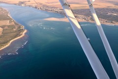 Lady Bush Pilot - African Tour - Flap 4