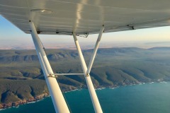 Lady Bush Pilot - African Tour - Flap 4