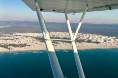 Lady Bush Pilot - African Tour - Flap 4