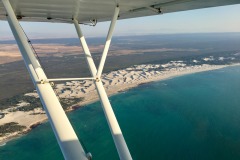 Lady Bush Pilot - African Tour - Flap 4