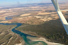 Lady Bush Pilot - African Tour - Flap 4