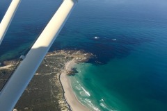 Lady Bush Pilot - African Tour - Flap 4