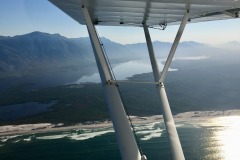 Lady Bush Pilot - African Tour - Flap 4