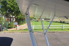 Lady Bush Pilot - African Tour - Flap 4