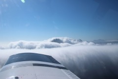 Lady Bush Pilot - African Tour - Flap 4