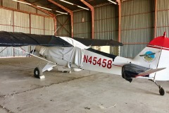 Lady Bush Pilot - African Tour - Flap 4