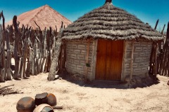 Lady Bush Pilot - African Tour - Flap 4