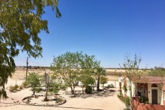 Lady Bush Pilot - African Tour - Flap 4