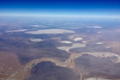 Lady Bush Pilot - African Tour - Flap 4