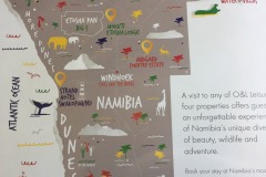 Lady Bush Pilot - African Tour - Flap 4