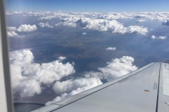 Lady Bush Pilot - African Tour - Flap 4