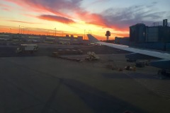 Lady Bush Pilot - African Tour - Flap 4