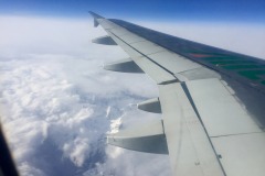 Lady Bush Pilot - African Tour - Flap 4