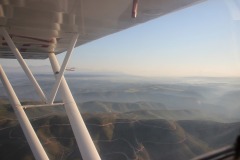 Lady Bush Pilot - African Tour - Flap 4