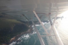 Lady Bush Pilot - African Tour - Flap 4