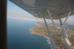 Lady Bush Pilot - African Tour - Flap 4