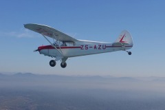 Lady Bush Pilot - African Tour - Flap 4