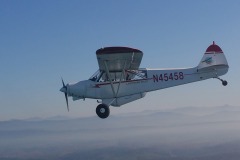 Lady Bush Pilot - African Tour - Flap 4
