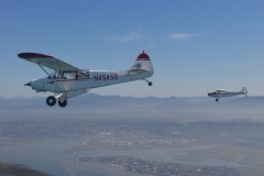 Lady Bush Pilot - African Tour - Flap 4