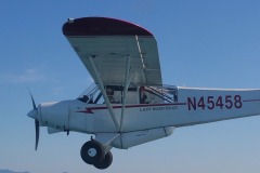 Lady Bush Pilot - African Tour - Flap 4