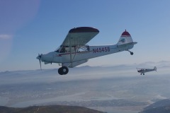 Lady Bush Pilot - African Tour - Flap 4