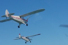 Lady Bush Pilot - African Tour - Flap 4
